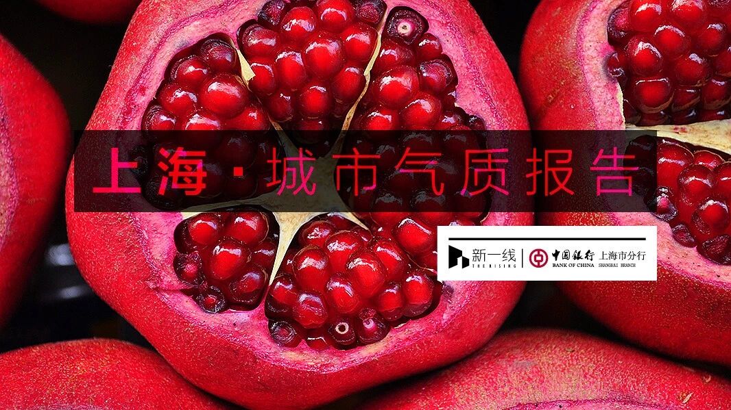 为什么说上海的文化地图，可能是最接近理想城市的？| 新一线×中国银行上海市分行